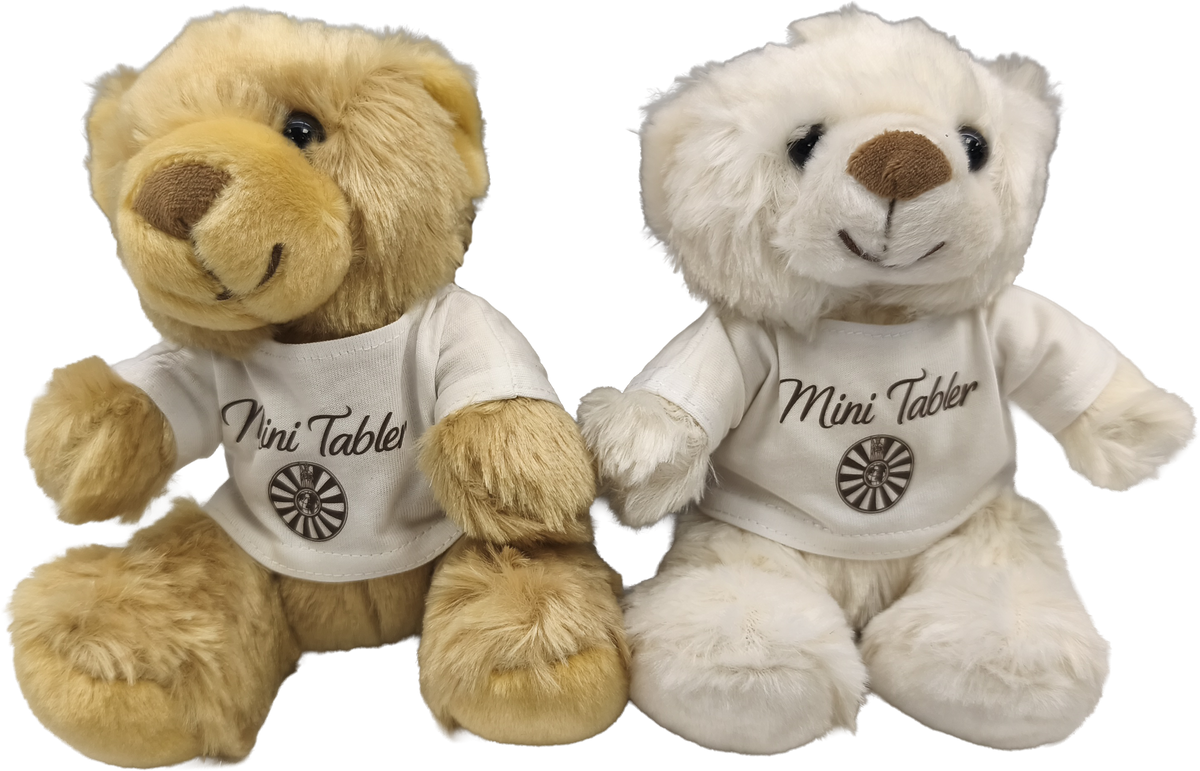 Ours en peluche